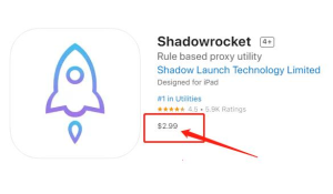 苹果手机Shadowrocket 使用教程汇总